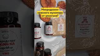 Микродозинг красного мухомора от алкоголя? #микродозингмухомора #ежовик #брлситьпить #пп