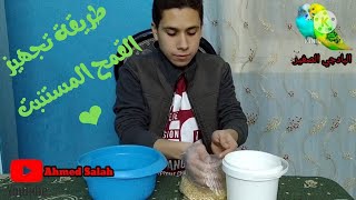 طريقة تحضير القمح المستنبت 🌾❤️ وما الوقت المناسب للتقديم بعد عملية التخمير في الماء 💦❤️