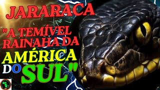 Jararaca-"A Rainha do Brasil"/#curiosidades/#mundoselvagem/#naturezacuriosa@PolyCuriosity