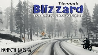 Drive from Mammoth Lodge to Mammoth Village in the first blizzard in Mammoth Lakes CA