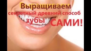 Как вырастить свои зубы взамен выпавших 3 часть