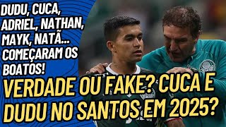 FATO OU FAKE? DUDU E CUCA NO SANTOS? + GREMIO QUER NOSSO LATERAL DIREITO!