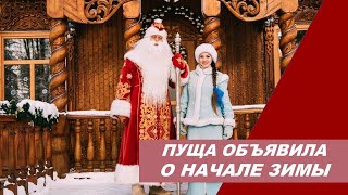 ВЕКТОР/блог о своем городе: Беловежская пуща объявила о начале зимы! Зима пришла!