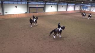 Weihnachtsreiten 2016 - M-Quadrille