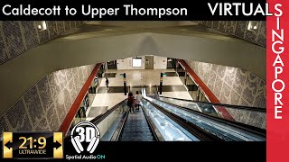 Caldecott to Upper Thompson  #MRT #TEL #thompsoneast #ultrawidewalk #pocket2 #3dsound #4kwalk #ASMR