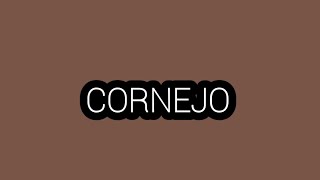 cornejo ~plus size model ~bio & facts