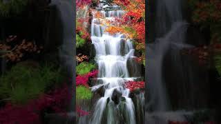 beautiful waterfall || The mind becomes happy after seeing such scenes ||