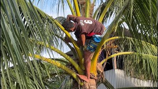 Kiribati 2024 - Temwaiku Village Tour And Last Days On The Island