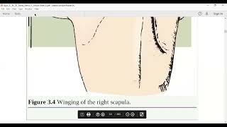 Applied anatomy of Scapula