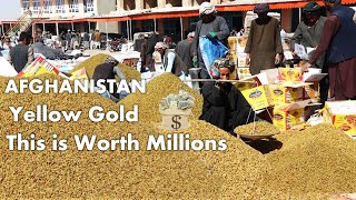 Afghanistan BILLION Dollar Industry (Part 6)