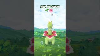 Wild High CP Meganium in Pokemon Go! ☘️🌸 #shorts #pokemongo #rare (👍 & Subscribe for more shorts!)