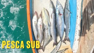 ESSA PESCARIA NUNCA FALHA - PESCA SUB HÁ 20 METROS DE PROFUNDIDADE ( CATCH AND COOK)