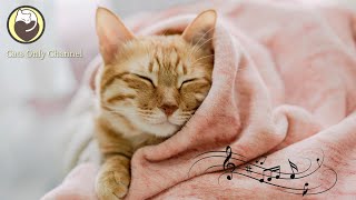 Relaxing Music for Cat Sleep - Stress Relief, Relaxing Sleep Music, Harp Music