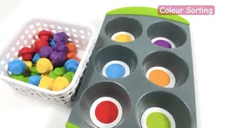 Colour Sorting | Muffins | Educational Videos for Kids