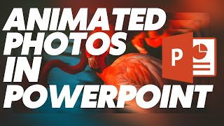 Animated Photos In PowerPoint