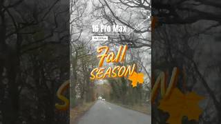 Fall Season in Ireland #ireland #fallseason #16promax #4k