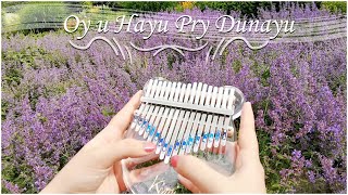 Oy u Hayu Pry Dunayu - Ninni- Hürrem Sultan- Muhteşem Yüzyıl | Kalimba Cover