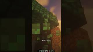 Simple Creeper Portal Design