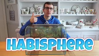 What to put in a HABISPHERE tank? | Tank Suggestions