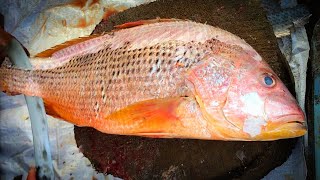 Skillful Fish Cutter Cutting Big Red Snapper Into Pieces At Fish Market-Fastest Fish Slicing Skills.