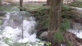 Log jam on Buck Creek NE of Darrington Wa