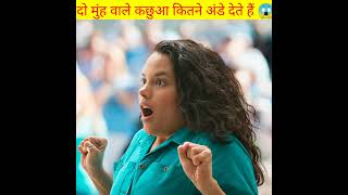 दो मुंह वाले कछुआ कितने अंडे देते हैं 😱 fact short video short video #fact #short #shorts #youtubesh