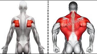 8 Exercises to Build a Wide Back Fast