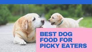 Best Dog Food for Picky Eaters