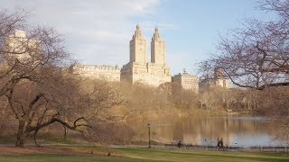 Flowers and birds in Central Park, New York City | Spring Morning Walk