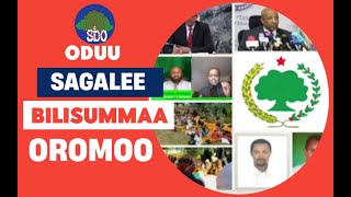 ODUU Guyyaa Har'aa | Oduu Afaan Oromoo Haaraa | Sagalee Bilisummaa Oromoo | OMN