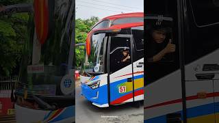 Po transport express jaya jakarta - padang sr3 panorama karoseri laksana #busmania #bus #Shorts