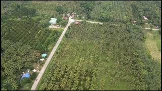 Kidapawan Coconut Farm