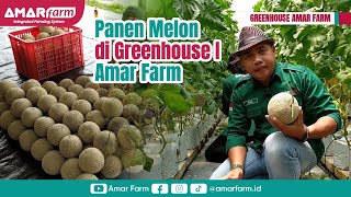 Full Senyum, Greenhouse I Amar Farm Panen nih!