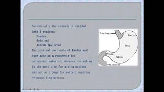 GRDDS Lecture 2 I Physiology/ Anatomy of GI Tract I Factors affecting Gastroretentive system I