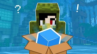 Cubecraft mailed me a SURPRISE!?!