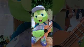 Turtle Do Singing for You with the Guitar |ASMR