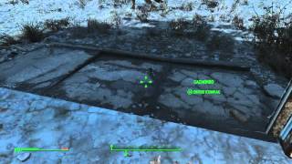 Fallout 4 clonando stim