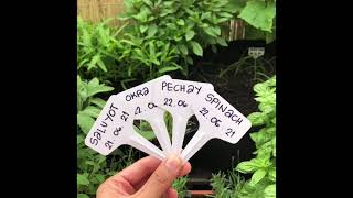 Planting more vegetables! || Grow your own food || Balcony Garden 🪴👩🏻‍🌾