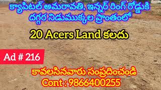 20 Acres Land is Available For Sale in Nidumukkala Amaravati Capital | నిడుముక్కల | 9866400255