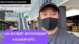 Авто из Кореи.Kia K5 2020 2.0 бензин.Обзор автоплощадки Deutsche AutoWorld.Заказ с сайта Encar.