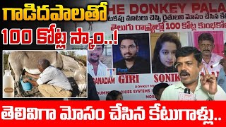 100 Crores Donkey Milk Scam In Hyderabad | RED TV Talkies