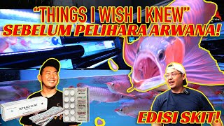 ANDAI SAYA TAU INI SEBELUM PELIHARA ARWANA! || THINGS I WISH I KNEW BEFORE OWNING AN AROWANA!