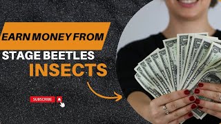 The Most Expensive Insect/Stag Beetles Rs. 7500000