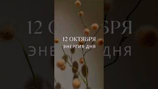 12  ок #гороскопнасегодня #прогноз #энергообмен #гороскоп #картадня #сейчас