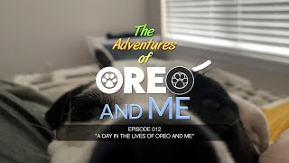 The Adventures of Oreo and Me -- Episode 12