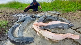 Top unique fish , a fisherman catch many fish by hand skill near village