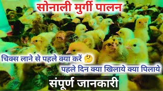 फार्म में चिक्स् डालने के लिए क्या क्या करना जरूरी है🤔 / Sonali Murgi Palan #sonalimurgipalan