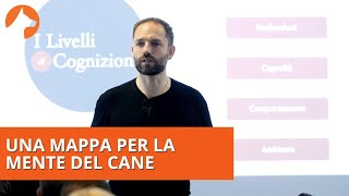 Una Mappa per la Mente del Cane | Angelo Vaira