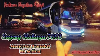 DRIVER BERNYALI TINGGI||SUGENG RAHAYU 7003||MENCOBA BANGKIT||