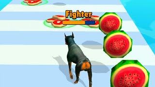 pet Run 3d all levels gameplay Walkthrough (android, ios) | taptap gaming